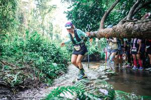 BIB: 
                            <button type="button" onclick="openModal(25466381)" class="btn btn-primary btn-sm float-right btn-popup" data-toggle="modal" data-target=".modal-high-quality">
                        <i class="fas fa-shopping-cart"></i> Add to Cart
                    </button>
                                            <button type="button" onclick="isThisMe(25466381, true)" class="btn btn-success btn-sm float-right btn-popup btn-isme hidden" data-toggle="tooltip" data-placement="bottom" title="นี่คือรูปของคุณใช่ไหม คลิกที่นี่เพื่อเอาเข้าอัลบั้ม">
                        <i class="fas fa-plus"></i> Add to album
                    </button>
                    <button type="button" onclick="isThisMe(25466381, false)" class="btn btn-warning btn-sm float-right btn-popup btn-isnotme hidden">
                        <i class="fas fa-ban"></i> Remove from album
                    </button>